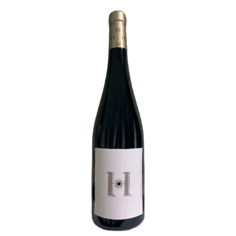H 2020